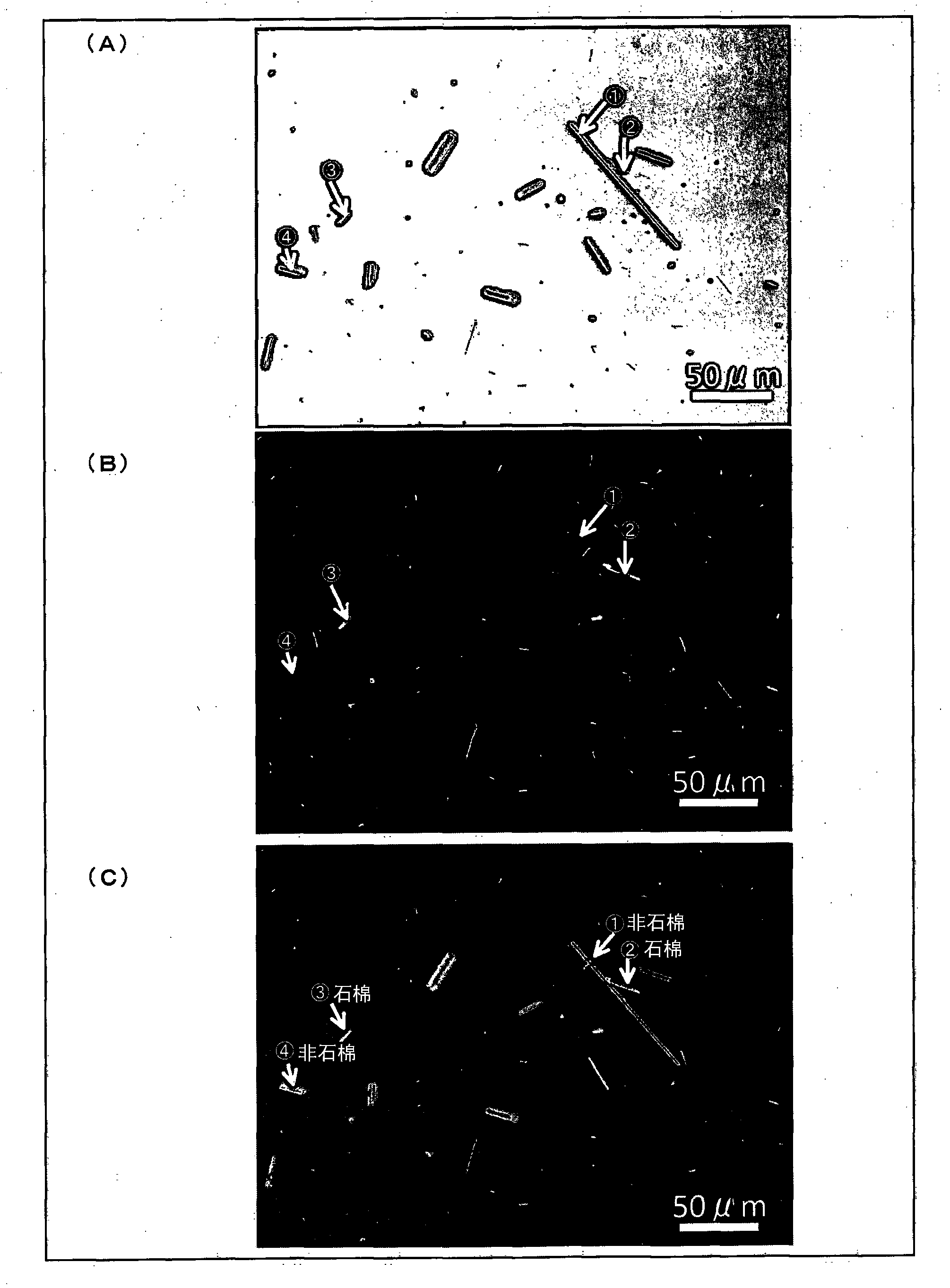 Method for detecting asbestos