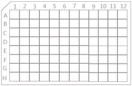 Kit for rapidly extracting nucleic acid in amniotic fluid and chorionic tissue sample