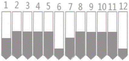 Kit for rapidly extracting nucleic acid in amniotic fluid and chorionic tissue sample