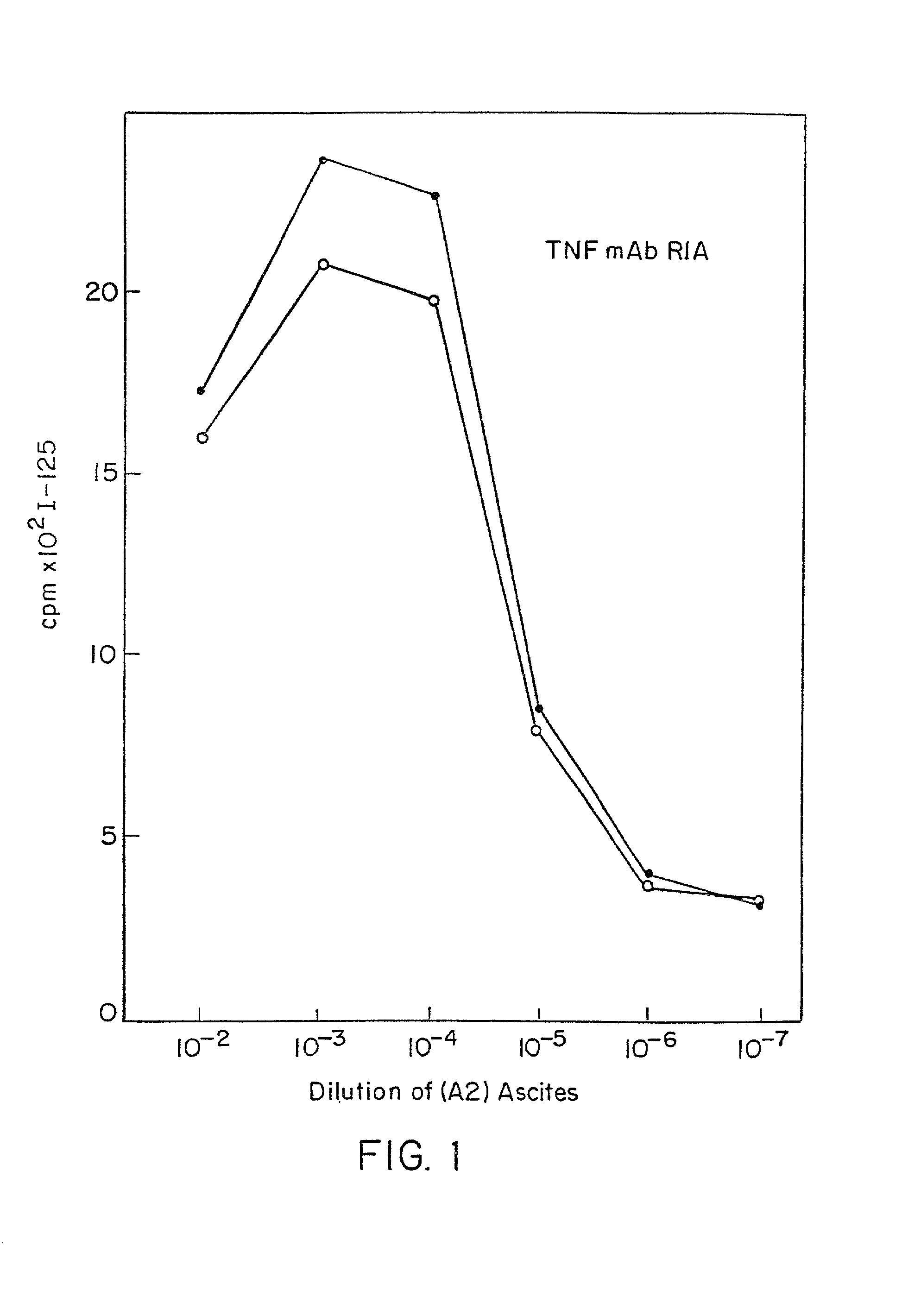 Anti-TNF antibodies and peptides of human tumor necrosis factor