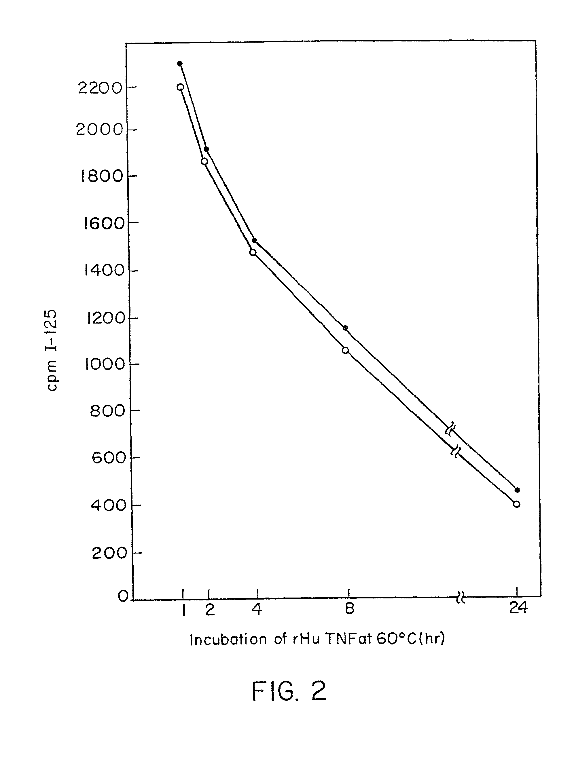 Anti-TNF antibodies and peptides of human tumor necrosis factor