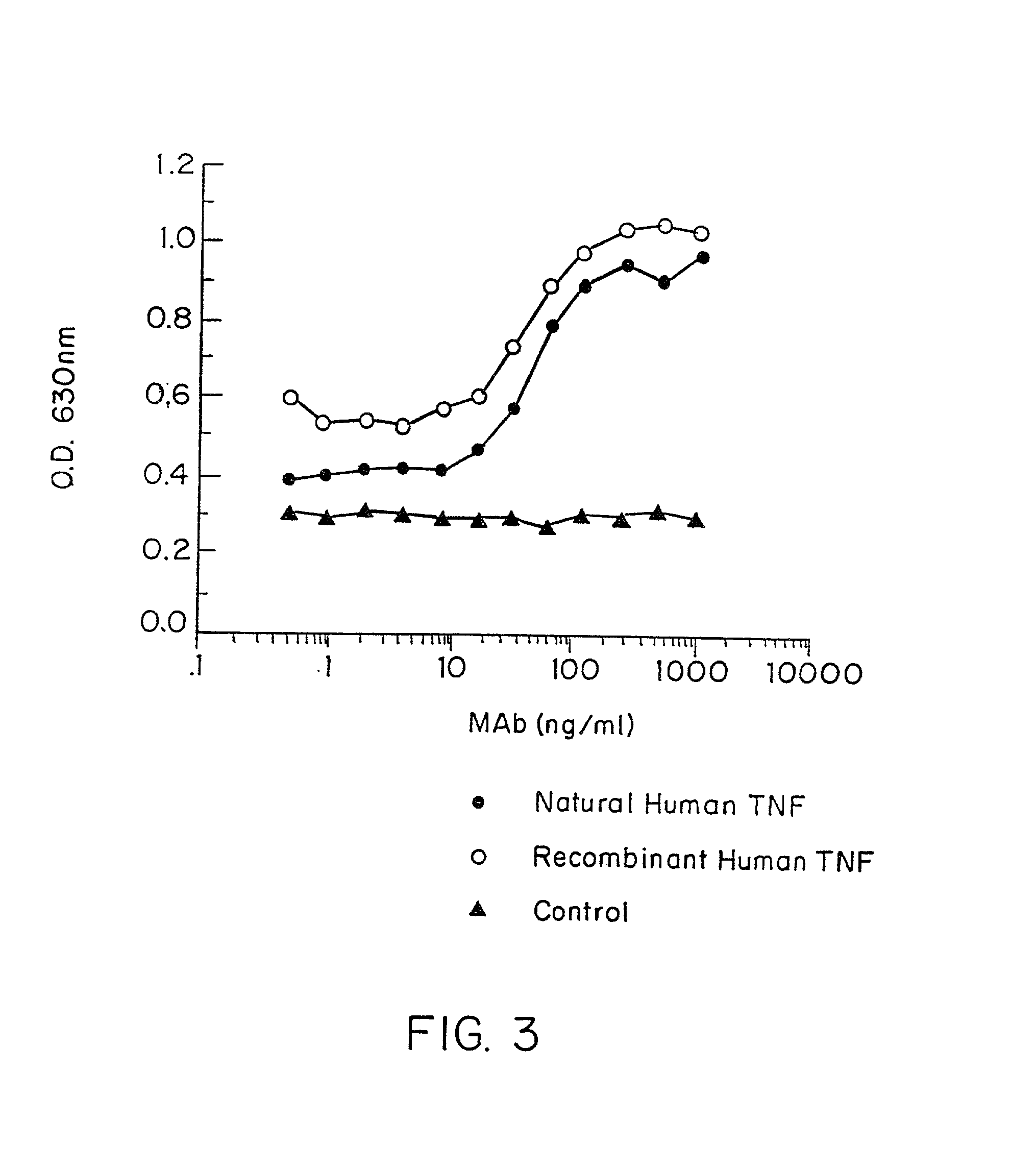 Anti-TNF antibodies and peptides of human tumor necrosis factor