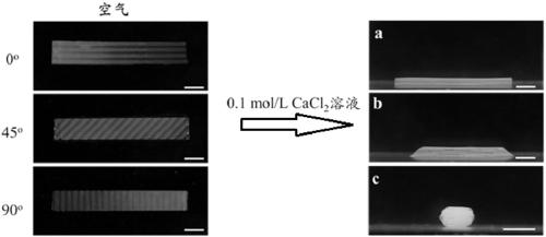 Controllable bidirectional three-dimensional deformed hydrogel film, preparation method thereof and flexible microelectrode array