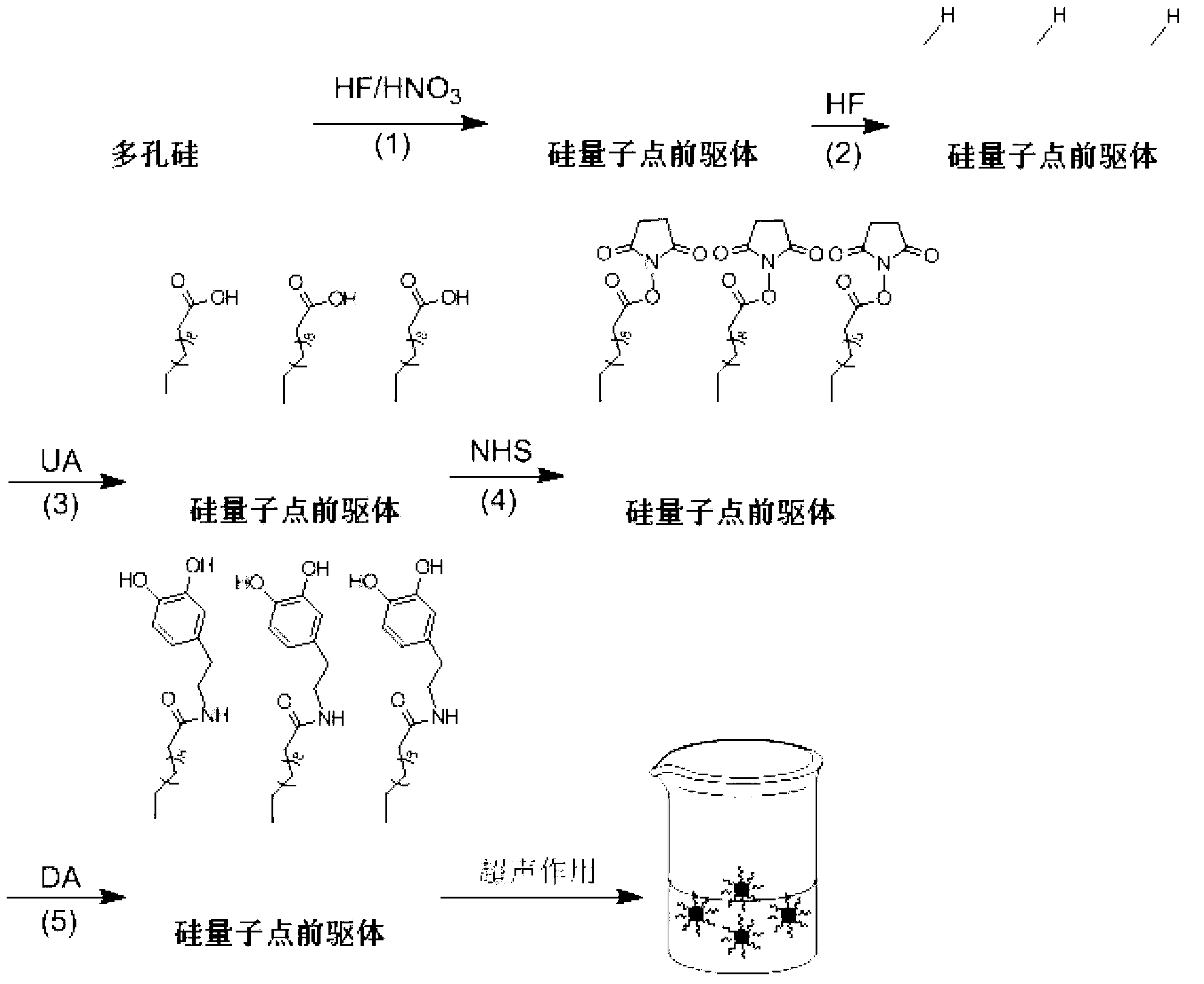 Preparation and application for silicon quantum dots