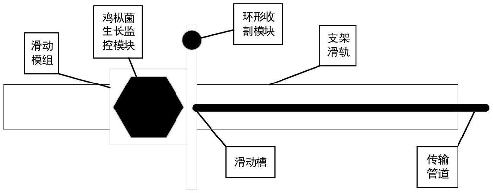 Automatic collybia albuminosa picking method, equipment and medium