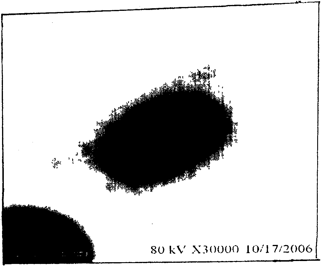 Novel acid-producing Klebsiella bacterium LF-1 and uses thereof