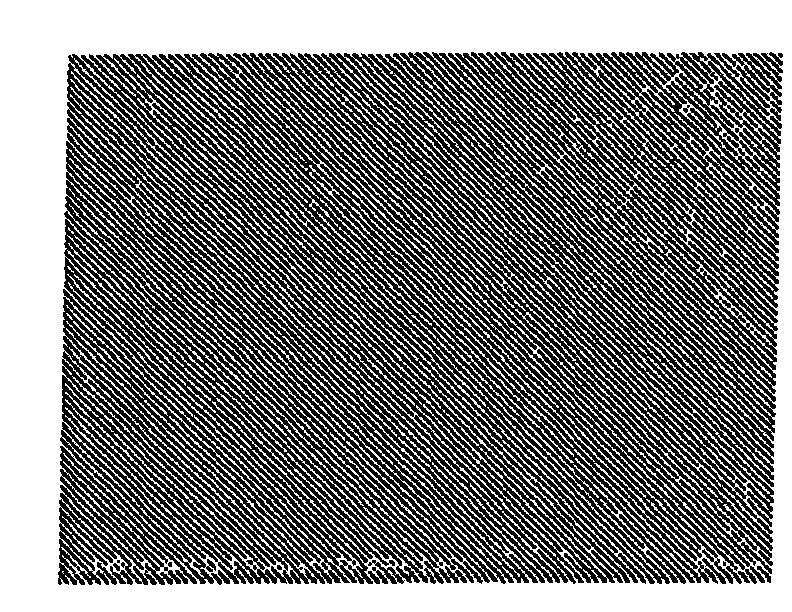 Single-walled carbon nanotube dispersion liquid and method for producing single-walled carbon nanotube dispersion liquid