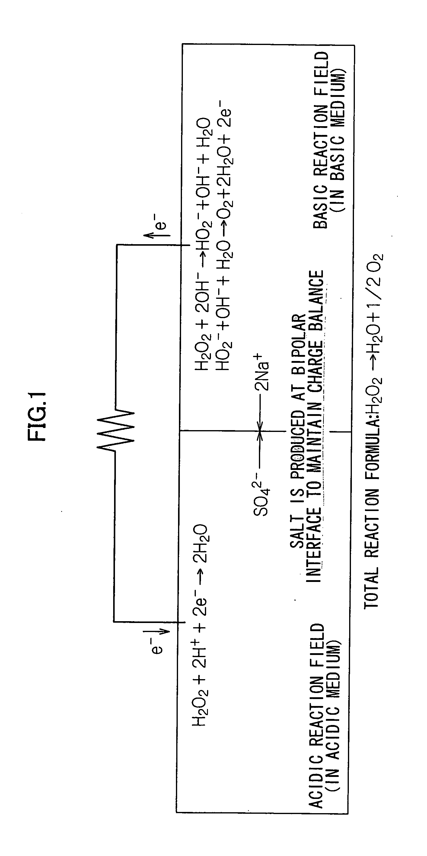 Water-activated cell and method of power generation