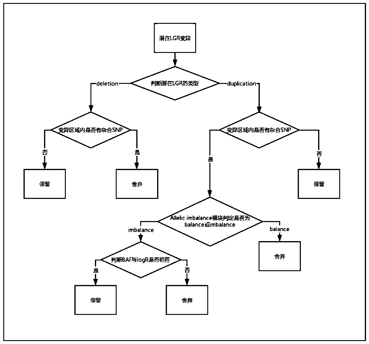 Capture probes for large genomic rearrangement detection based on capture sequencing, kit and detection method