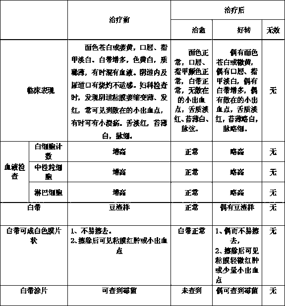 Preparation method of Chinese medicine irrigation solution for treating blood stasis type senile vaginitis