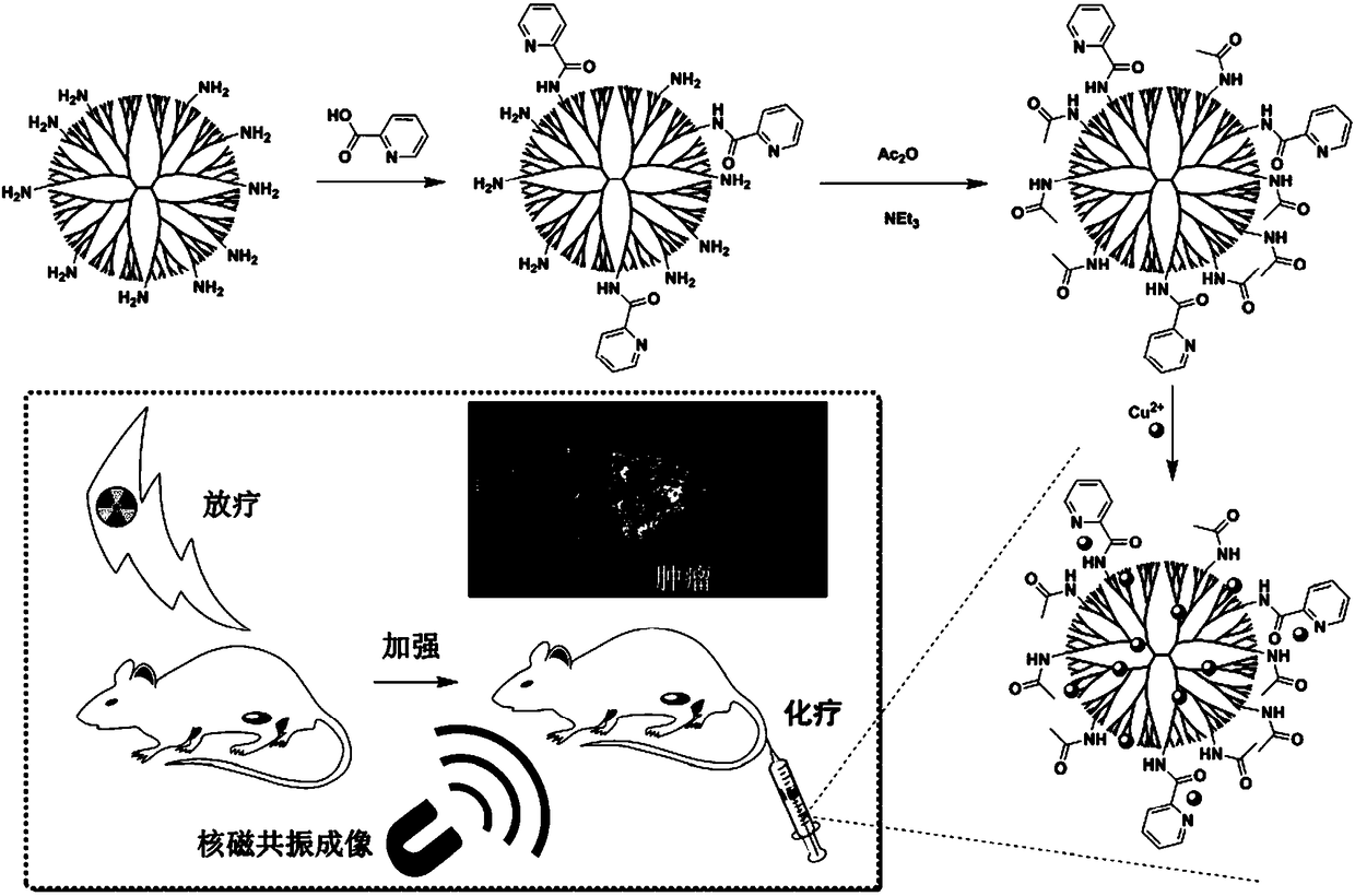 Preparation method of pyridine-modified dendrimer copper complex hybrid nanomaterial