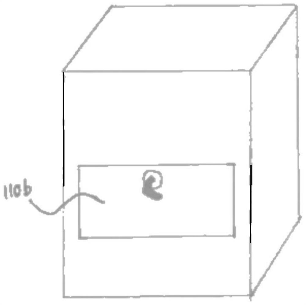 Endoscope delivery window system