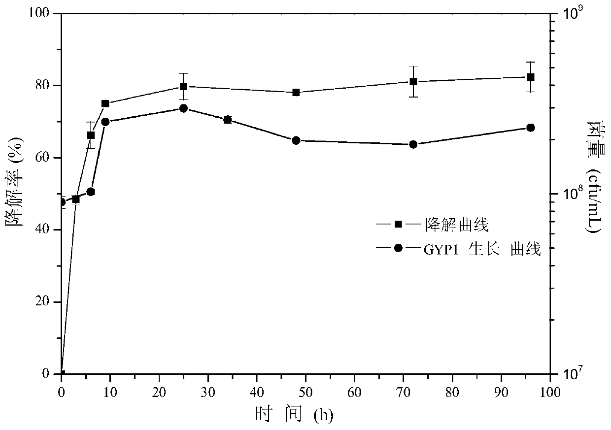 A Burkholderia gyp1 and its application in degrading brominated flame retardants