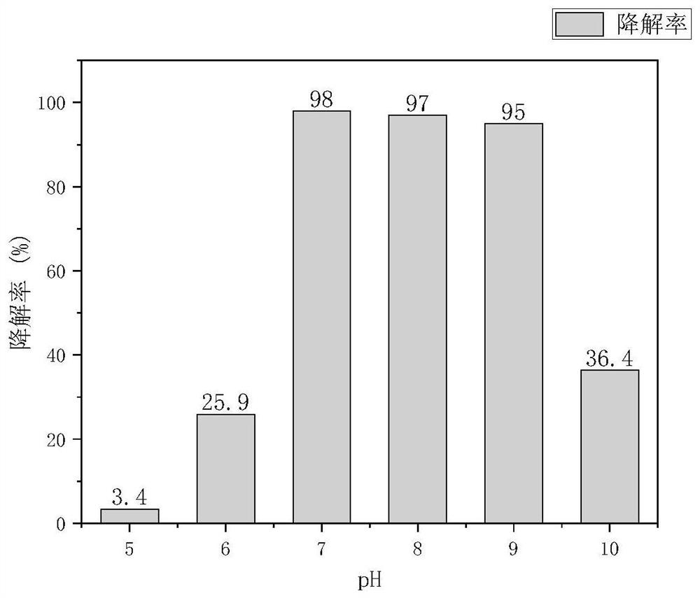 Rhodococcus jj-3 and its application in degrading acrylic acid