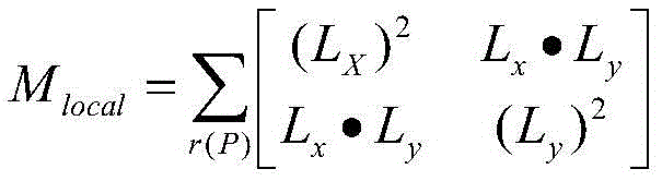 A vehicle detection method based on multi-feature fusion