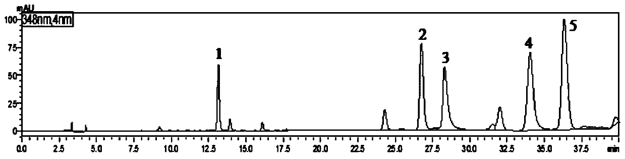 Method for simultaneously determining content of five chemical components in chrysanthemum medicinal materials