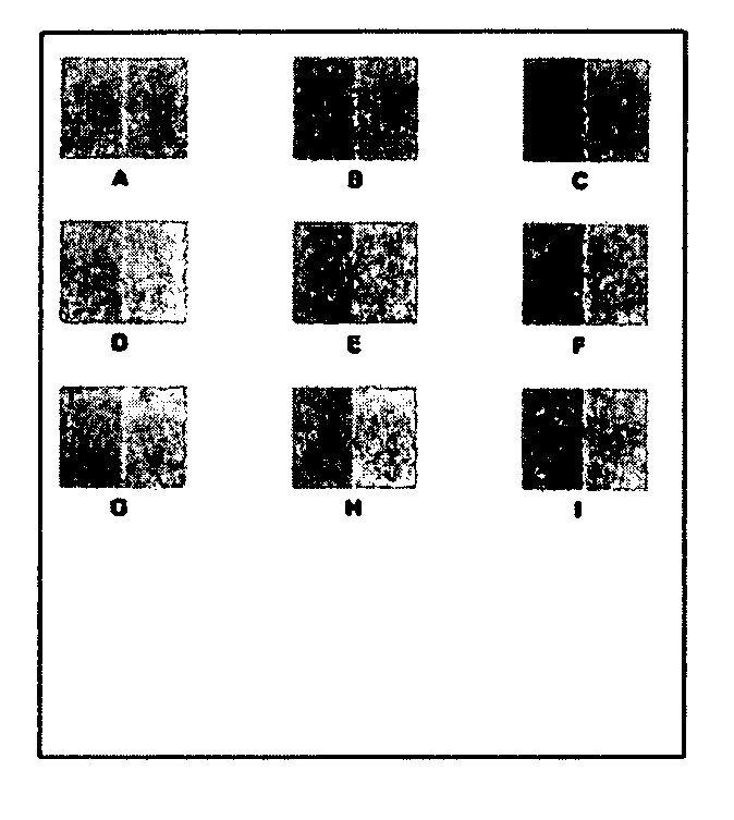 Color calibration chart