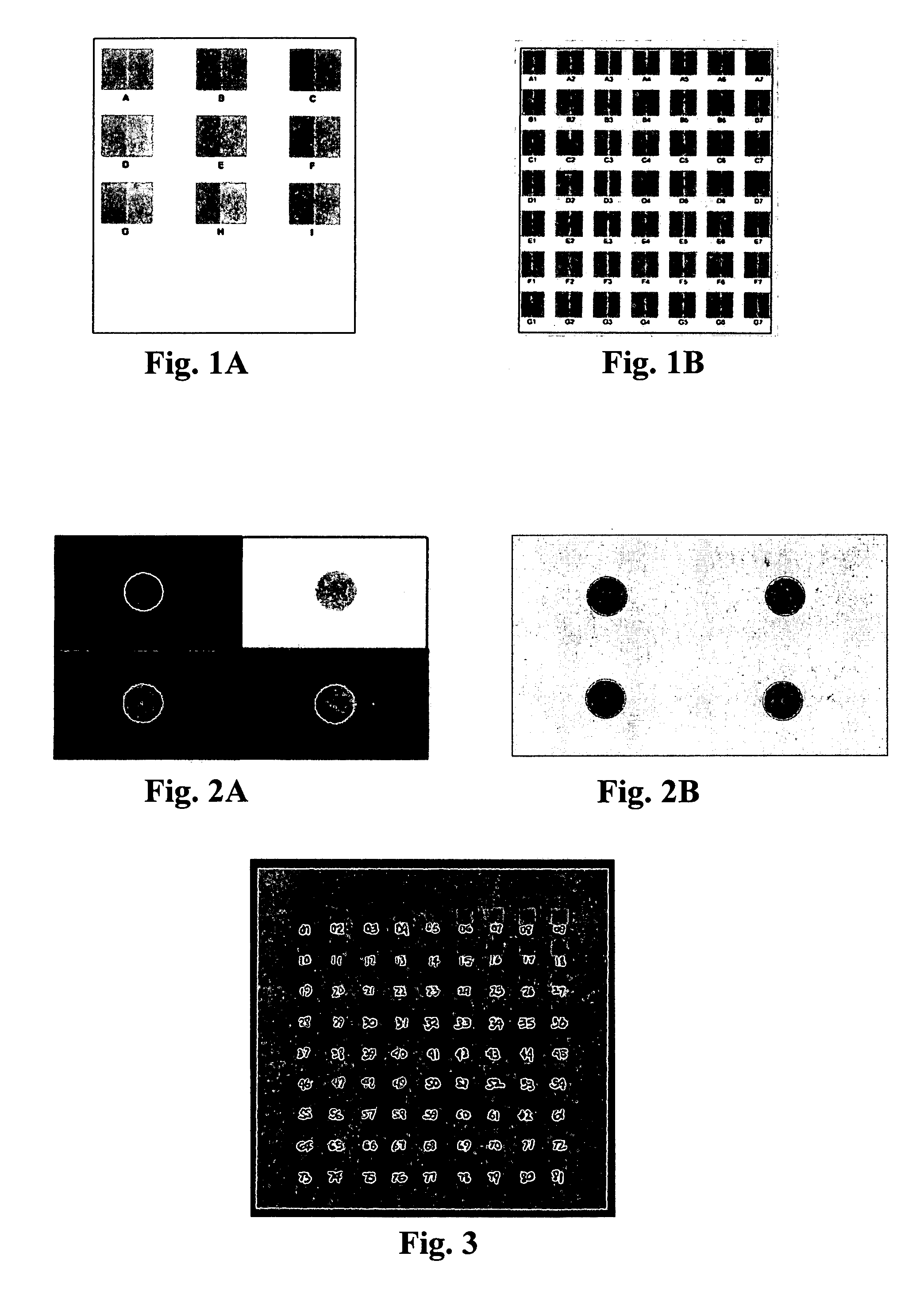 Color calibration chart