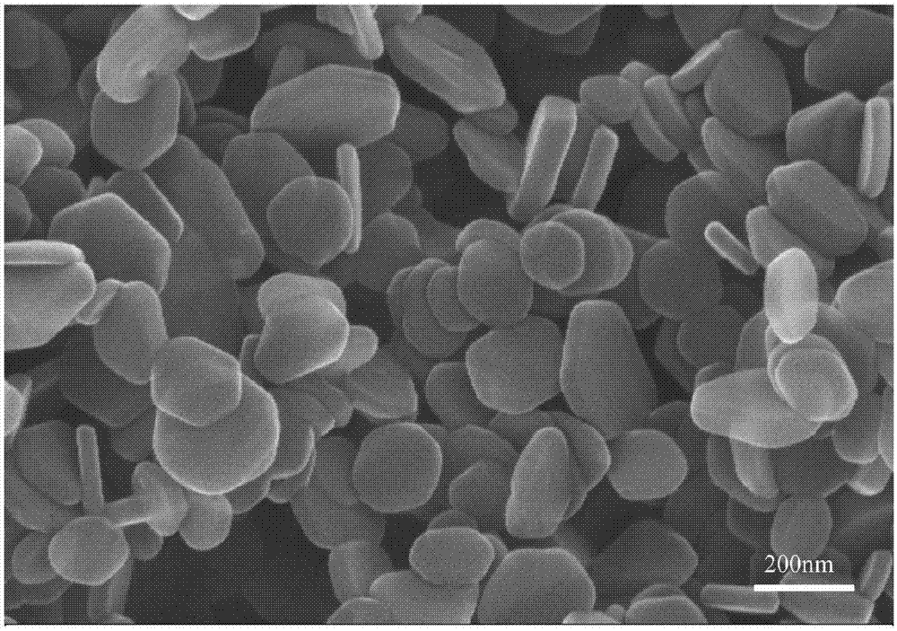 Method for preparing polypropylene/hydrotalcite nanometer composite material by using hydrotalcite as nucleating agent