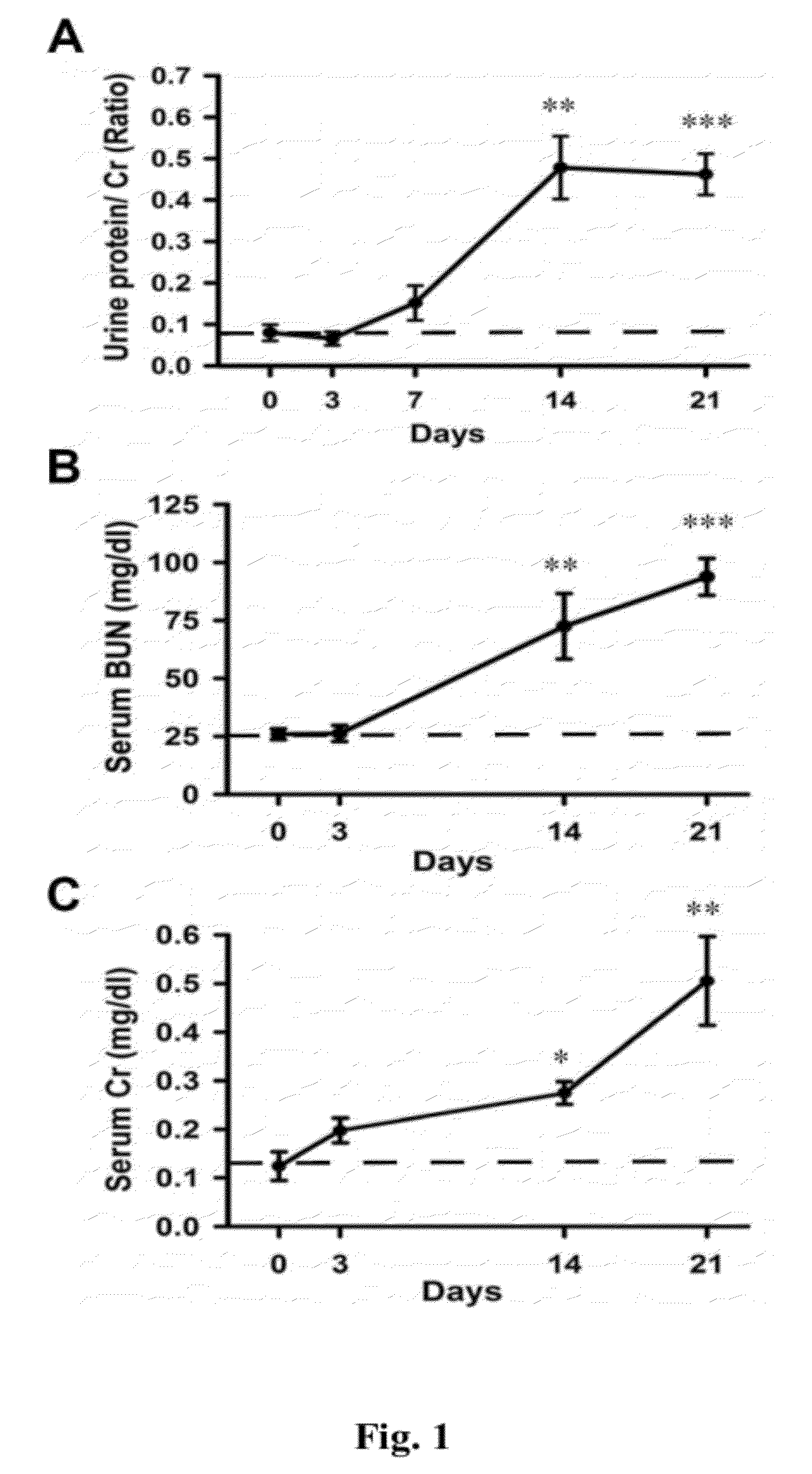 Tmsb4 as a Biomarker for IgA Nephropathy