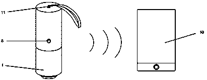 Portable water quality identification device