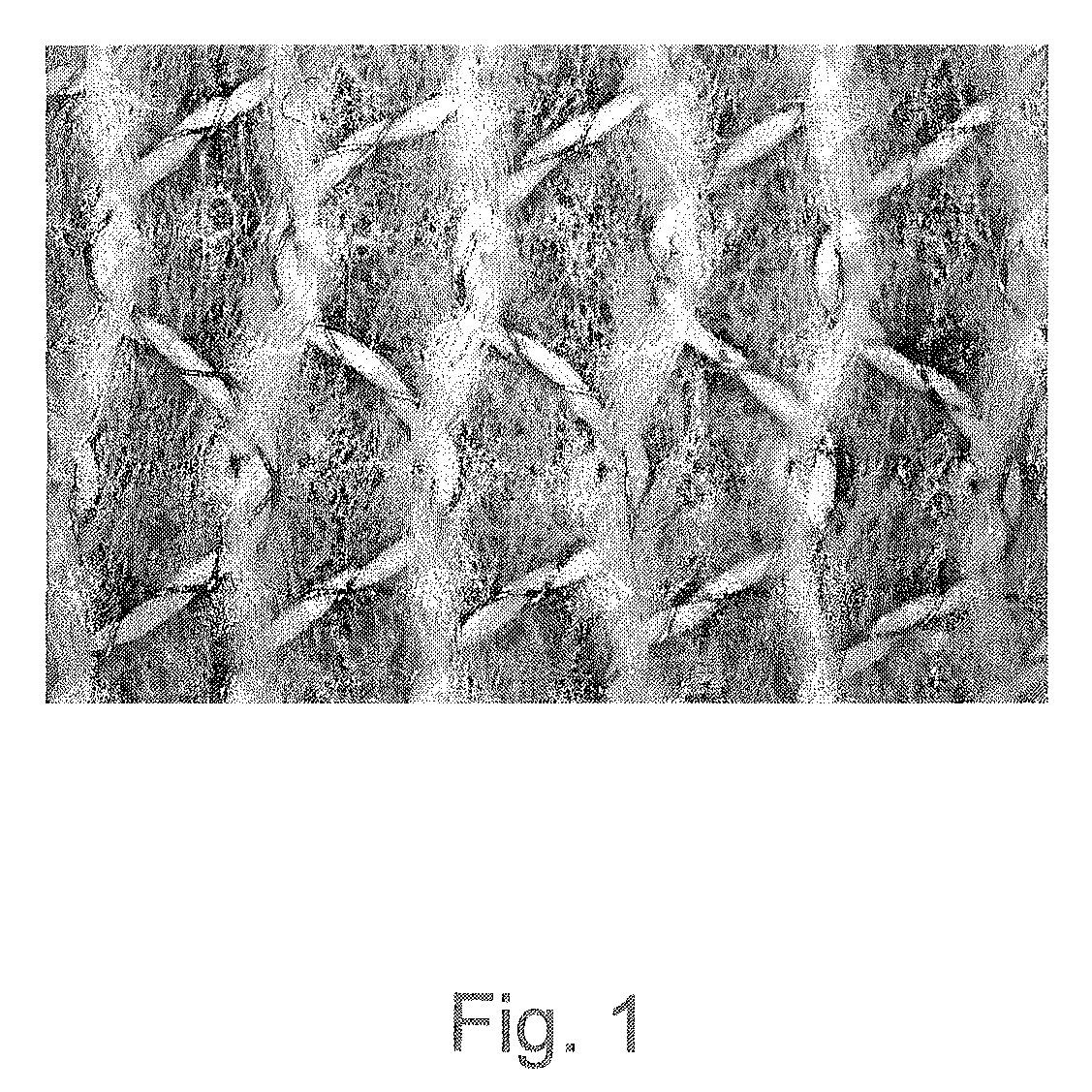 Textile sheet, method for manufacturing same, and use