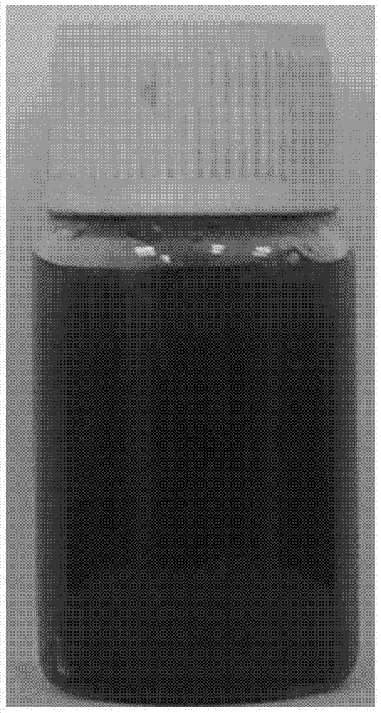 Chitosan and chitosan quaternary ammonium salt composite magnetic microsphere and preparation method thereof