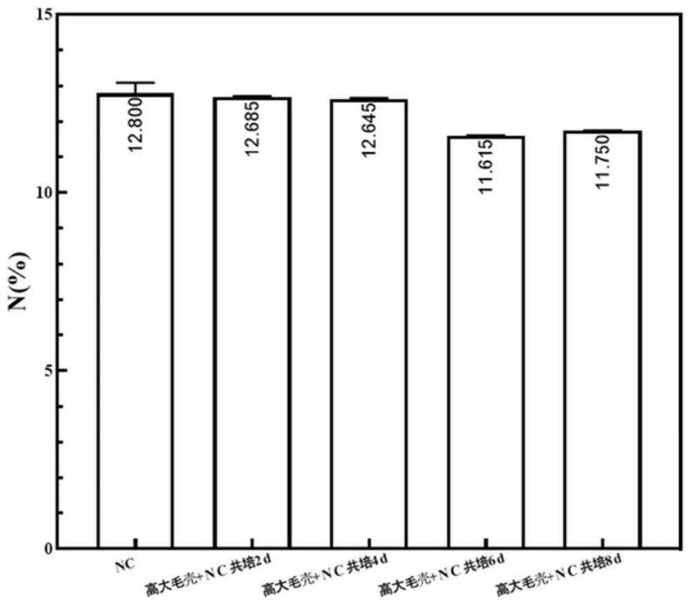 Application of chaetomium elatum in denitration of nitrocellulose