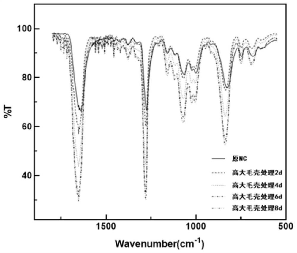 Application of chaetomium elatum in denitration of nitrocellulose