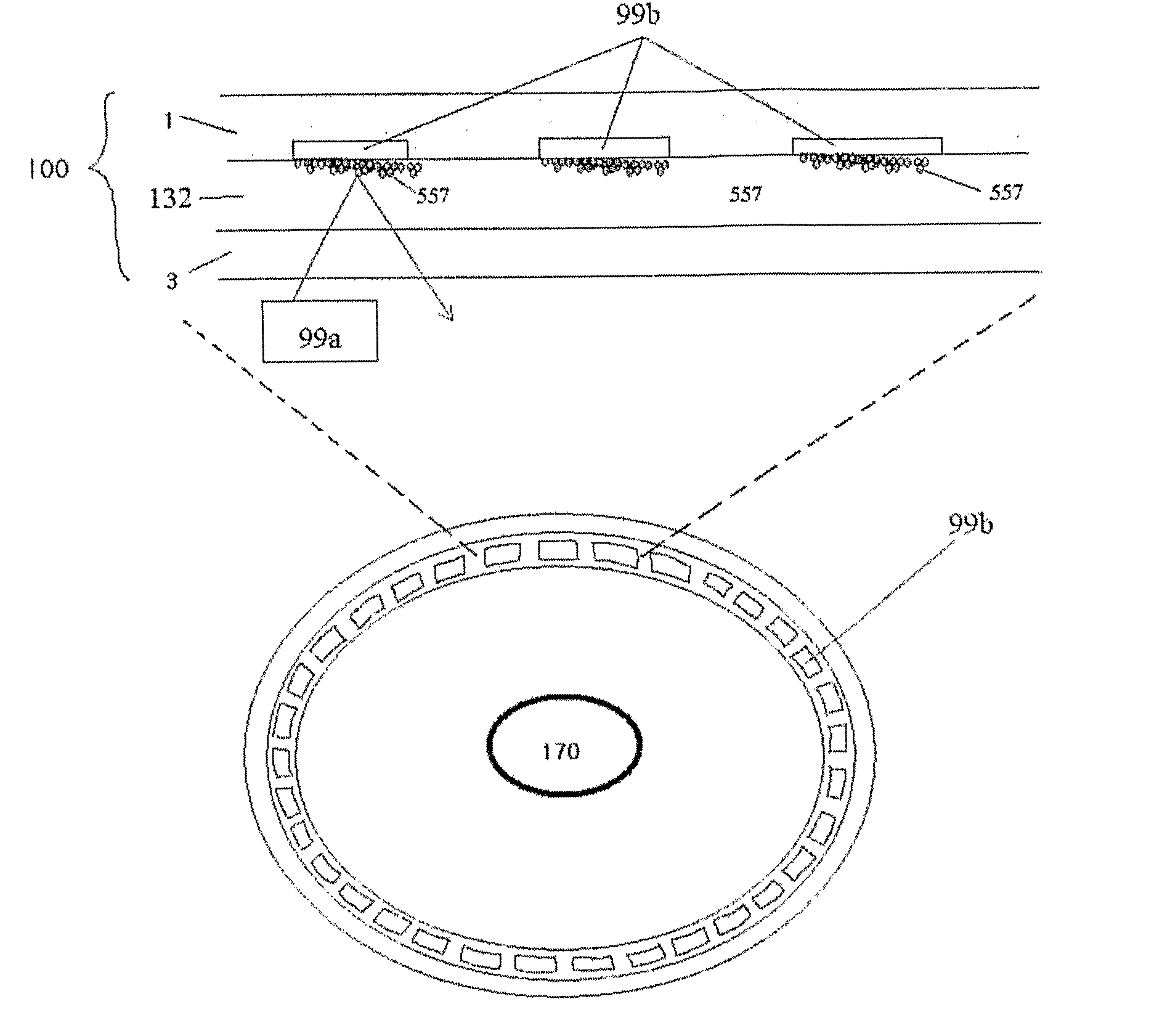 Digital bio disc (dbd), dbd driver apparatus, and assay method using the same