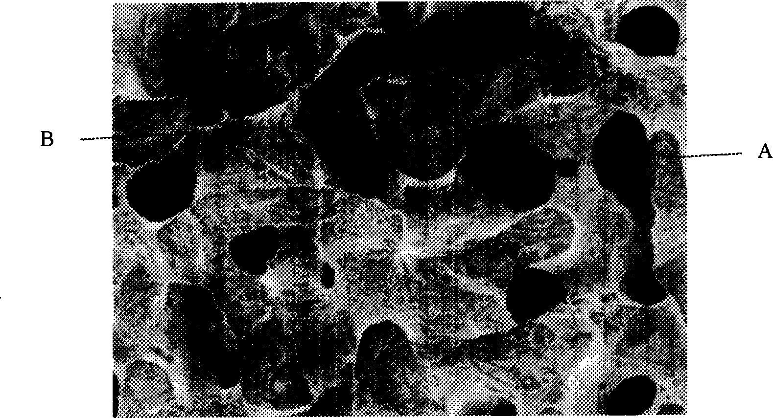 Porous calcium carbonate-hydroxyapatite gradient material and preparing method thereof