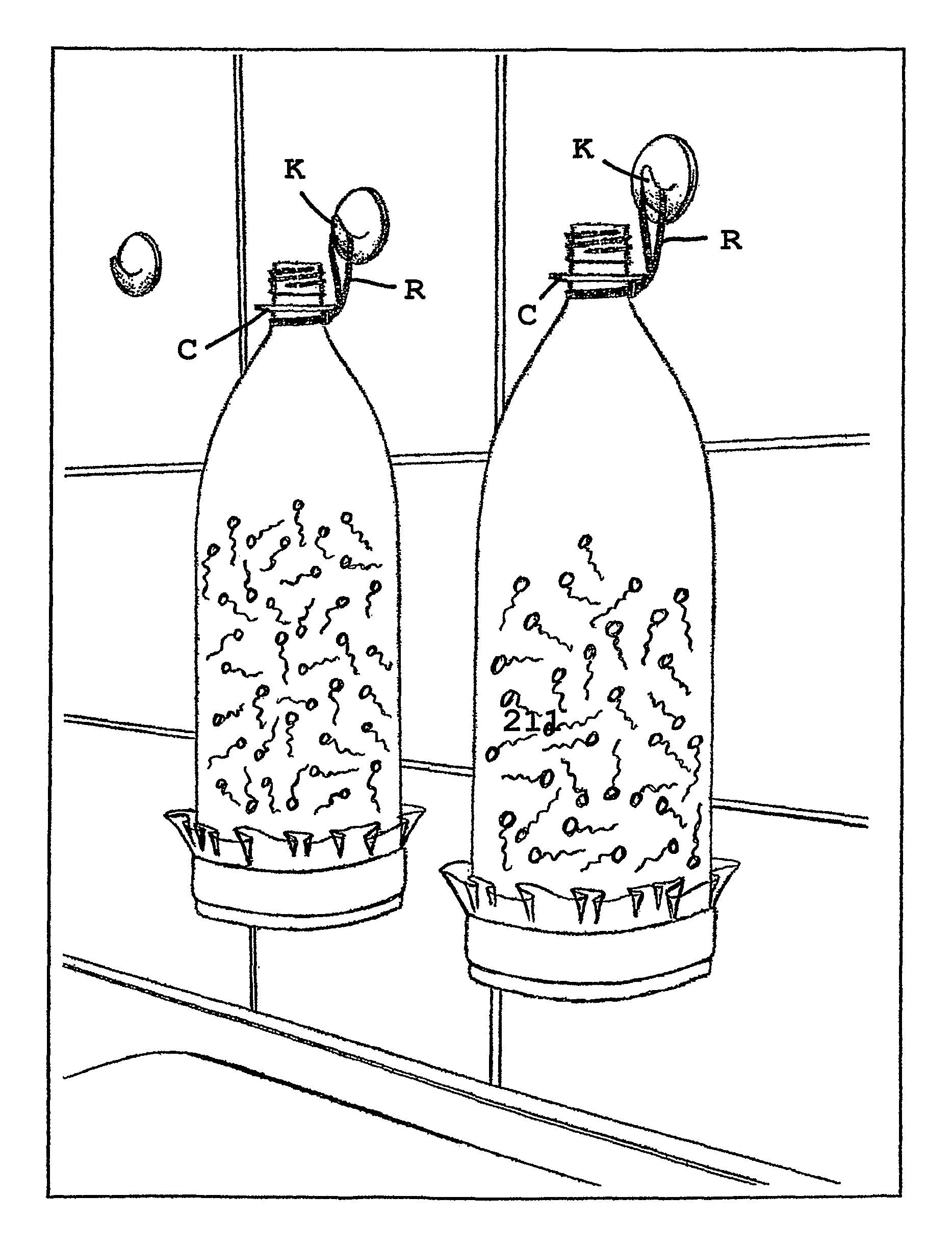 Device for sprouting