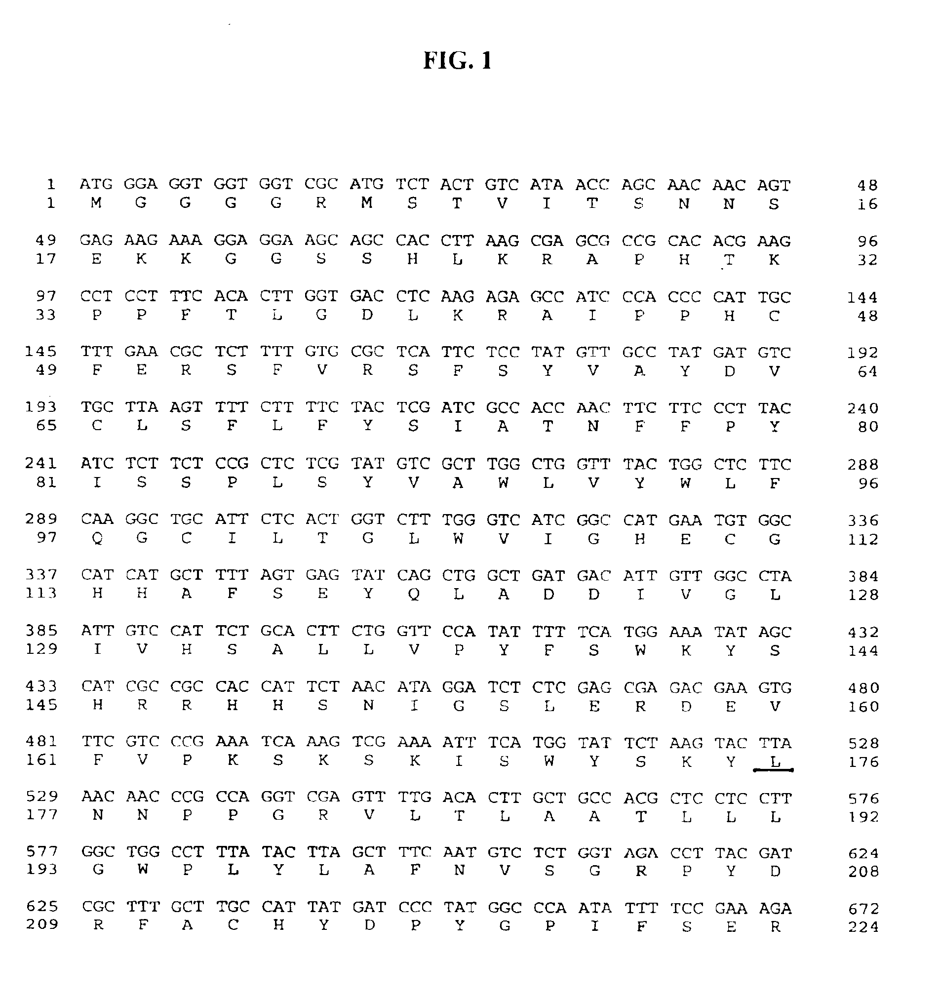 Isoform of castor oleate hydroxylase