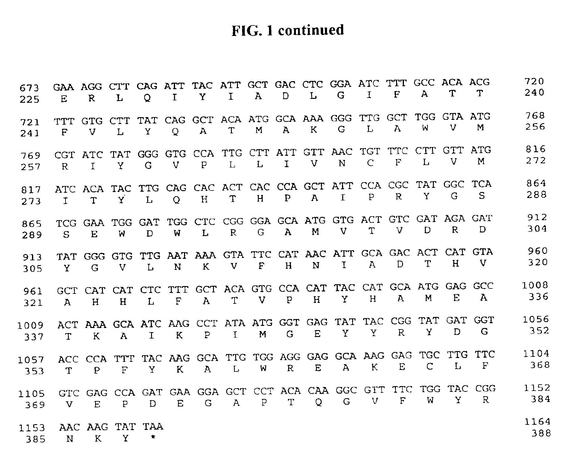 Isoform of castor oleate hydroxylase