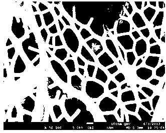 Carbon nano tube and vanadate composite nanofiber photocatalyst and preparation method thereof