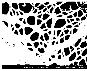 Carbon nano tube and vanadate composite nanofiber photocatalyst and preparation method thereof