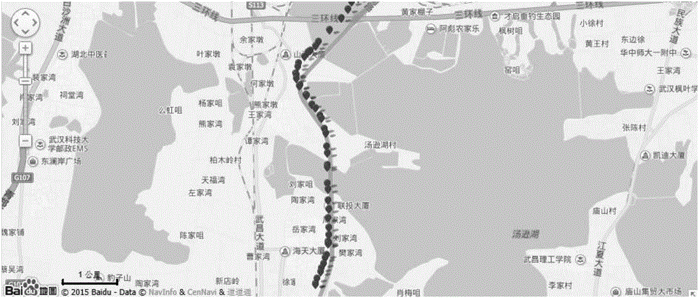 Live fish transporting information system, establishing method and their application