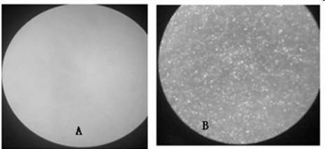 Recombinant avian influenza trivalent vaccine as well as preparation method and application thereof