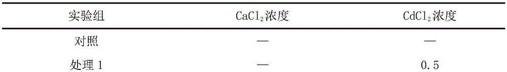 Culture method for effectively reducing heavy metal cadmium content in cultured fish bodies