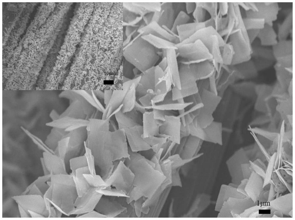 Preparation method of flexible flaky MoPCoP array electrolyzed water catalyst composite material