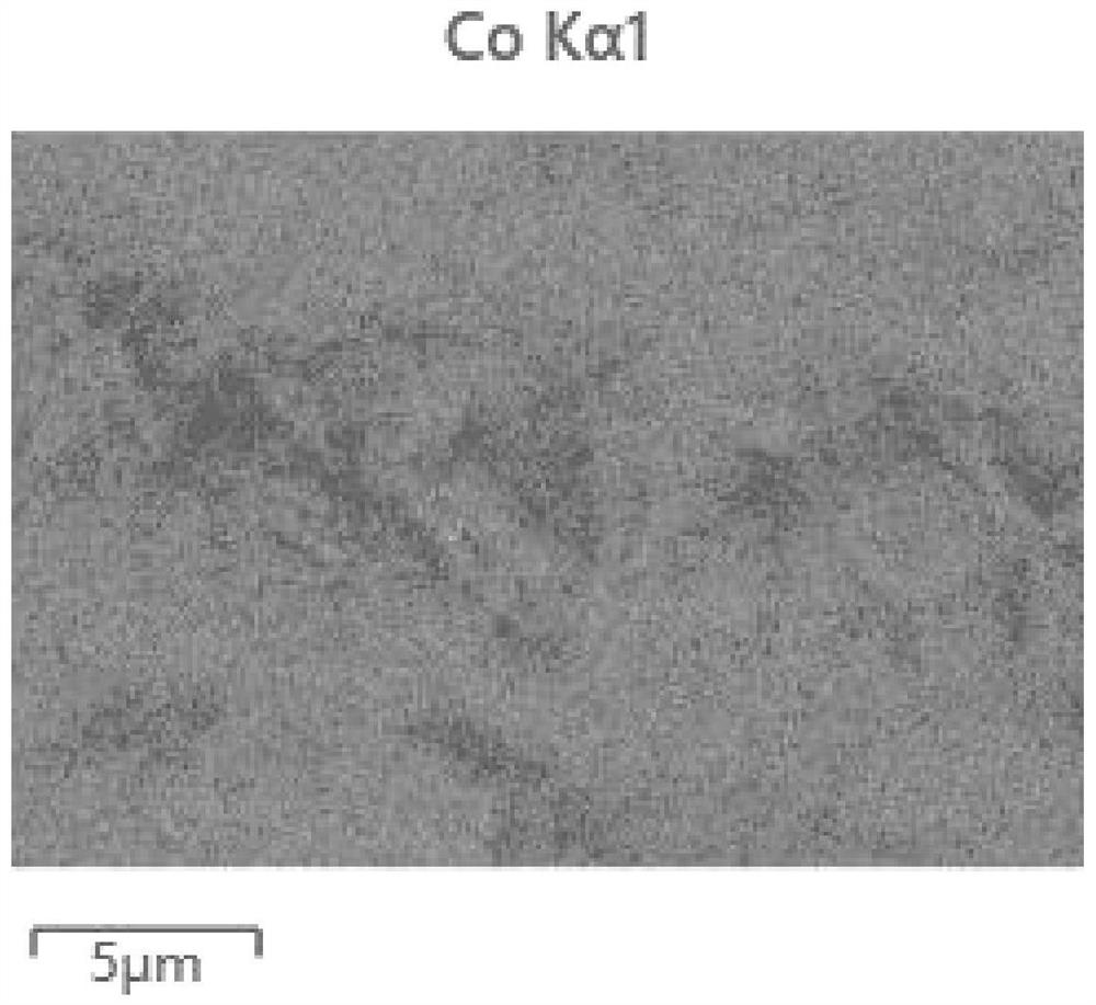 Preparation method of flexible flaky MoPCoP array electrolyzed water catalyst composite material