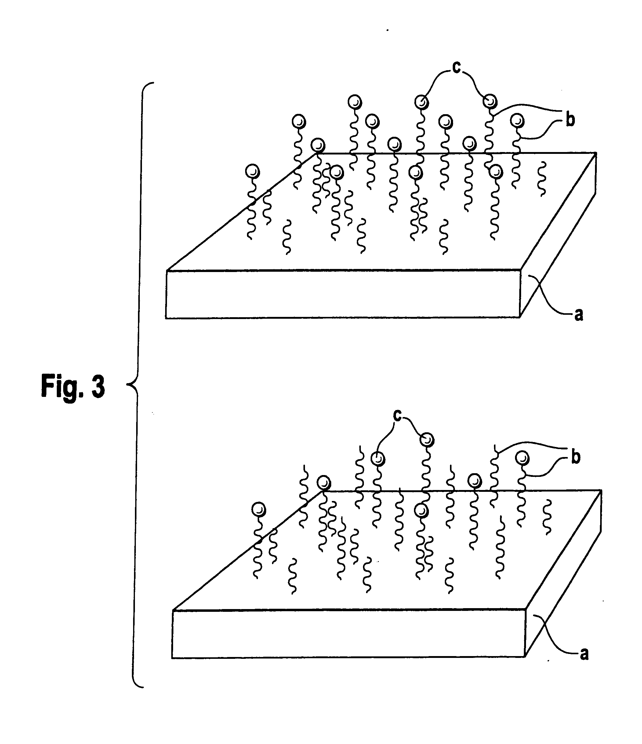 Biodegradable block copolymers with modifiable surface