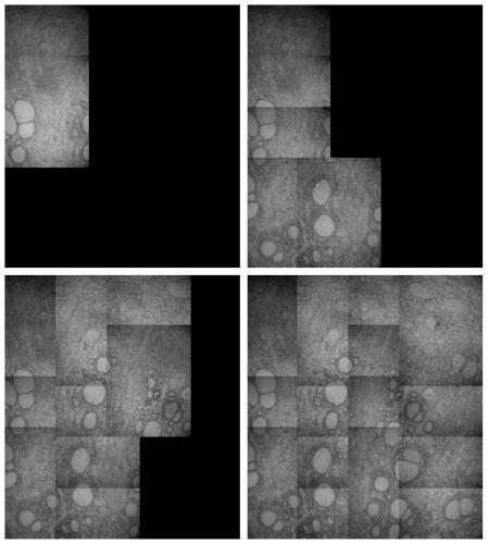 Microscope multi-view automatic focusing system and using method thereof