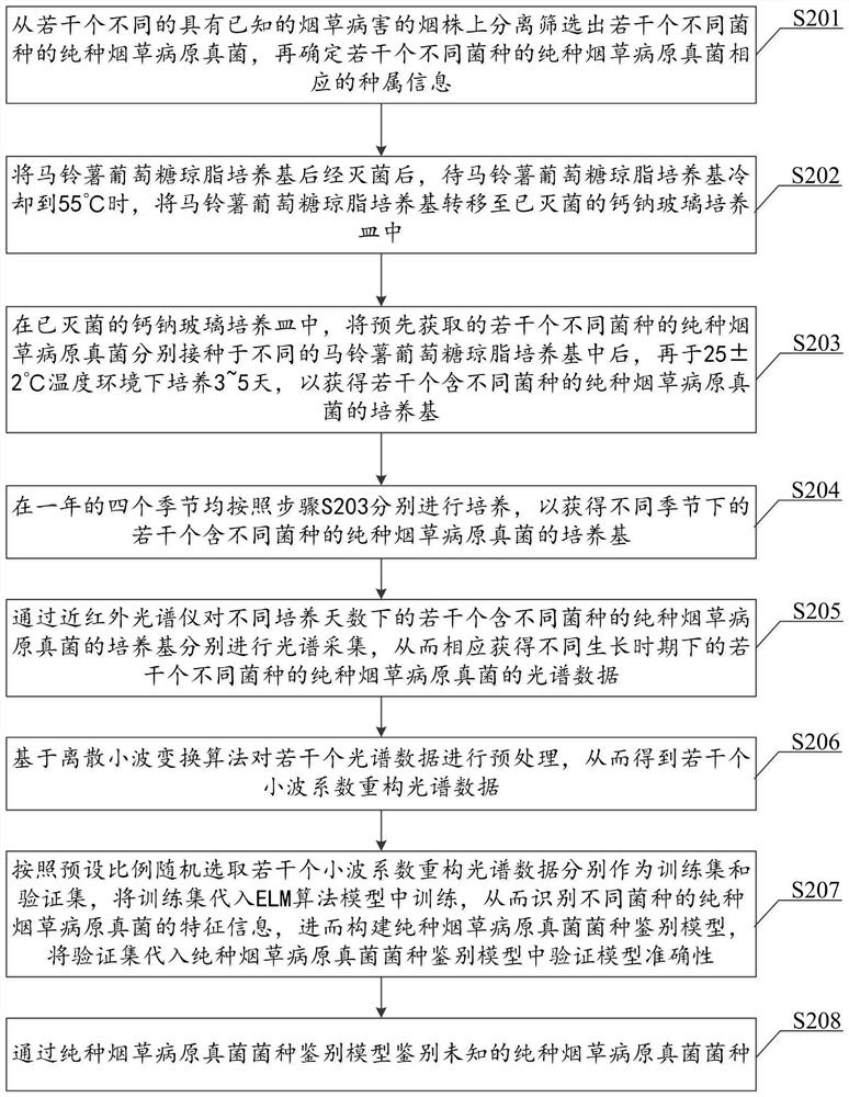 Tobacco pathogenic fungus type rapid identification method based on NIR technology and ELM