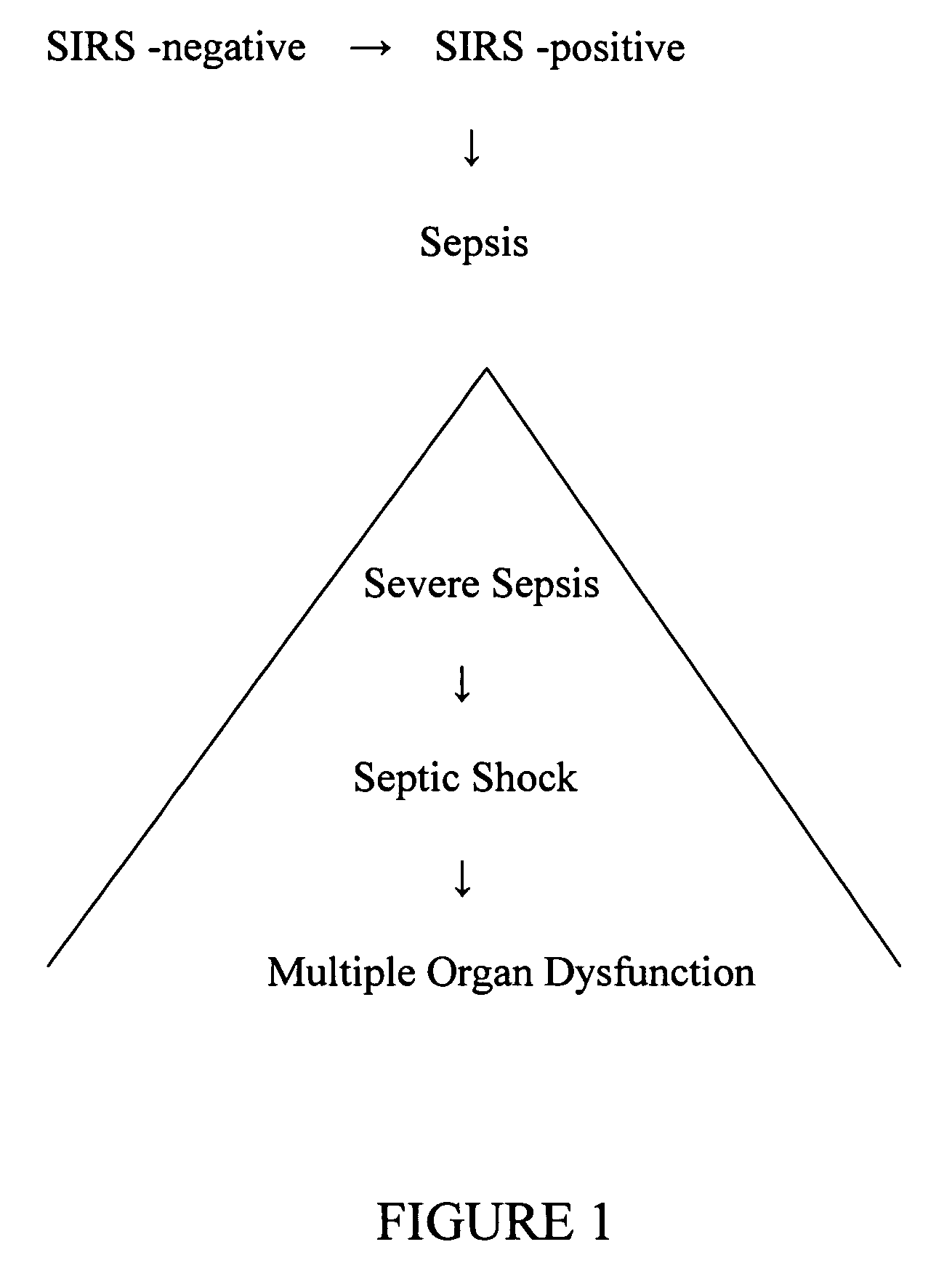 Diagnosis of sepsis or SIRS using biomarker profiles