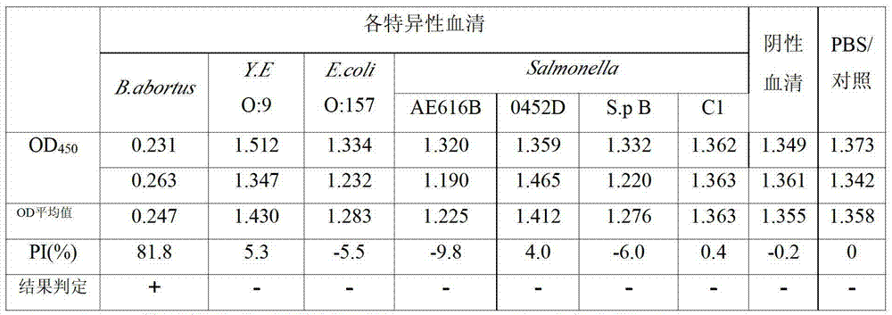 Animal brucellosis competition ELISA antibody test kit