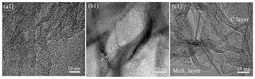 A kind of double-sided amphiphilic carrier and its preparation method and application