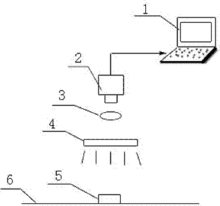 Automatic identifying and grading method for bamboo chips