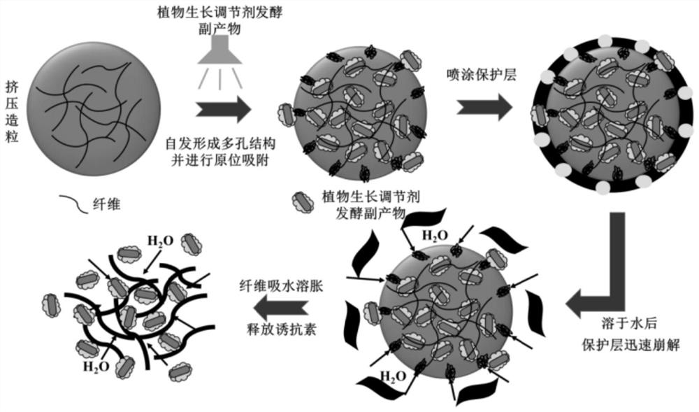 Plant growth regulator by-product microcapsule