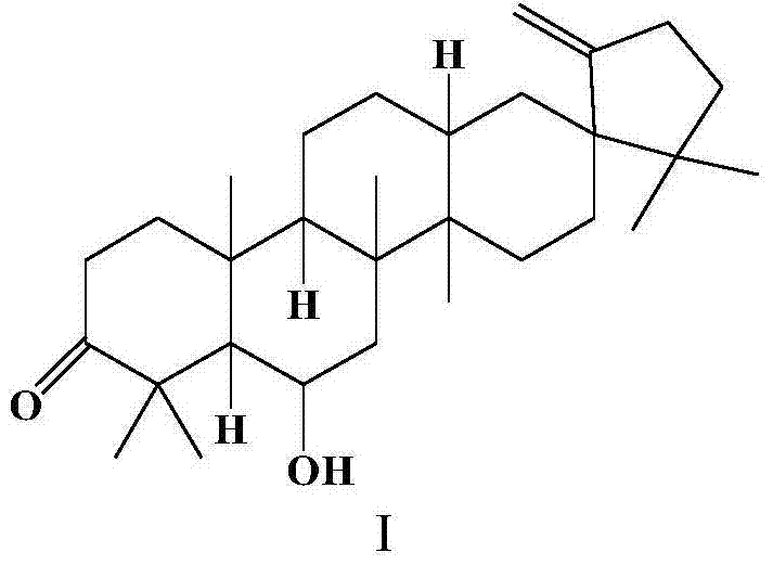 Application of cleistanone O-(1H-tetrazole)ethyl derivative in preparation of antibacterial drugs